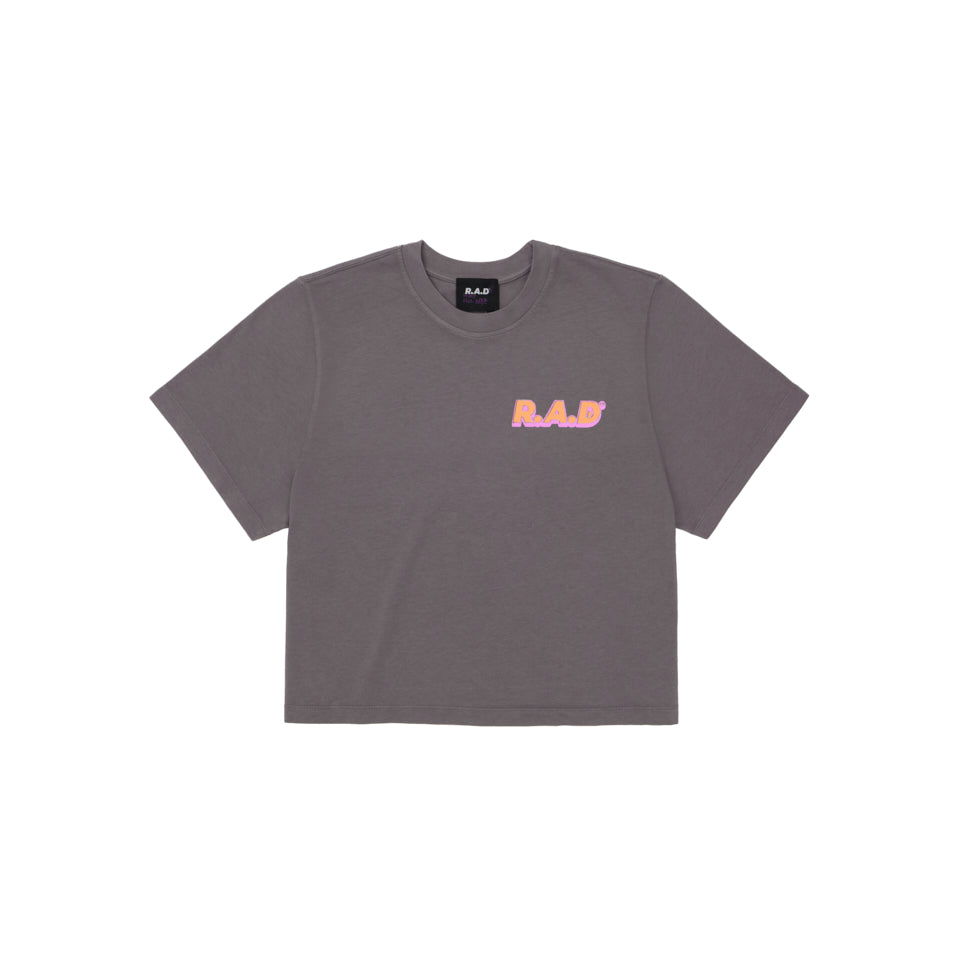 Gray short-sleeved t-shirt.